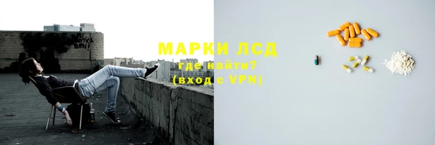 гашиш Богданович