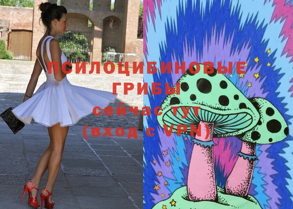 круглые Богородицк