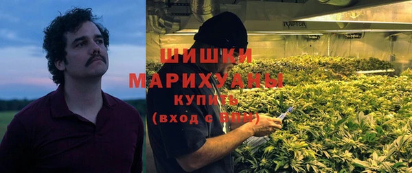 гашиш Богданович